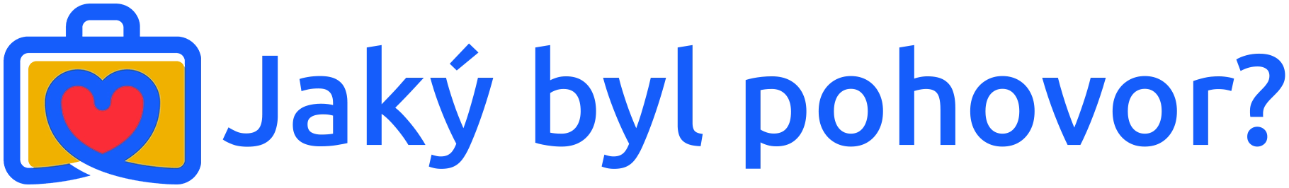 Jaký byl pohovor?